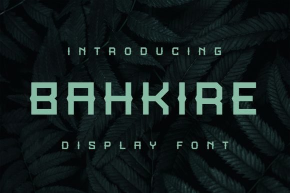 Bahkire: A Bold Display Font for Dynamic Editorial Design