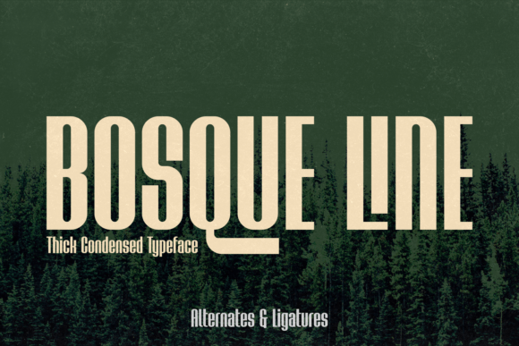 Bosque Line: A Modern Display Font for Business Branding