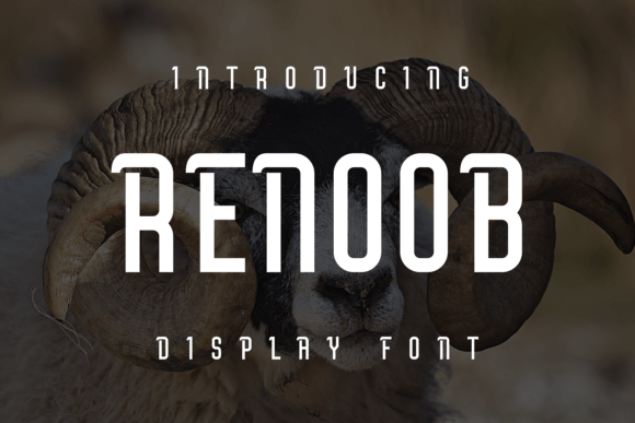 How Renoob Font Transformed My Small Business Branding